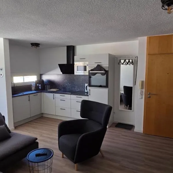 Main Apartment SW 2，位于施韦因福特的酒店