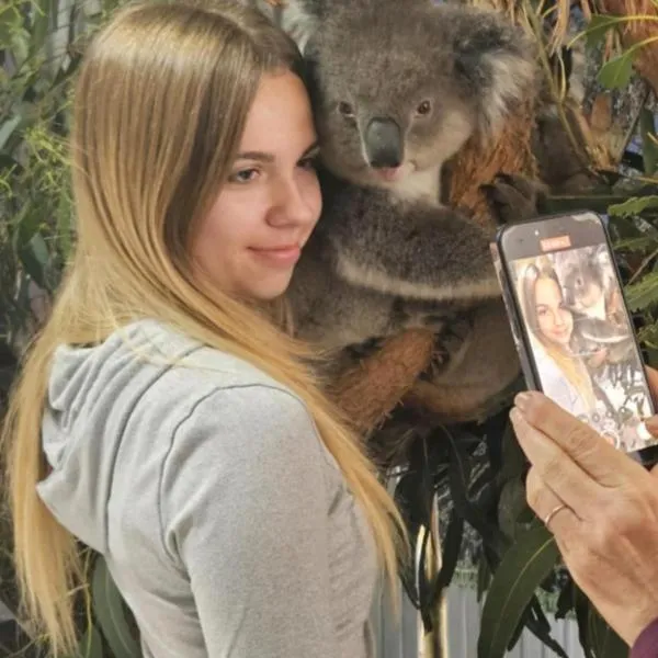 Fauna Australia Wildlife Experience，位于Lavers Hill的酒店