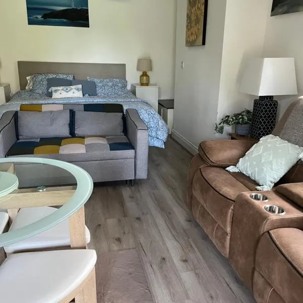 Basement studio apartment，位于巴利纳的酒店