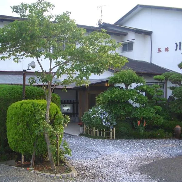 Family Ryokan Kawakyu with Showa Retro, private hot spring，位于指宿市的酒店