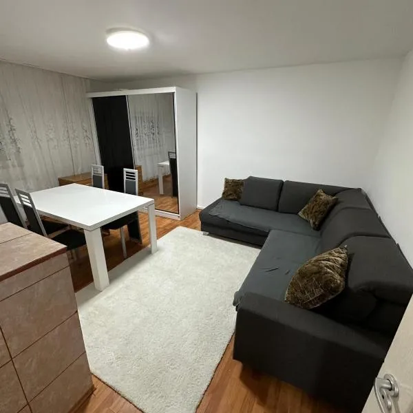 Apartment near Corvin Castle,位于胡内多阿拉的酒店