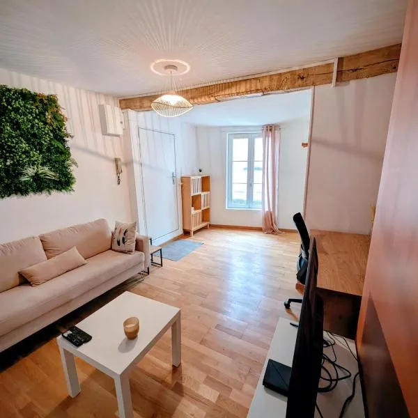 Le Clou de Coeur - coeur de ville - Parking inclu，位于沙特尔的酒店