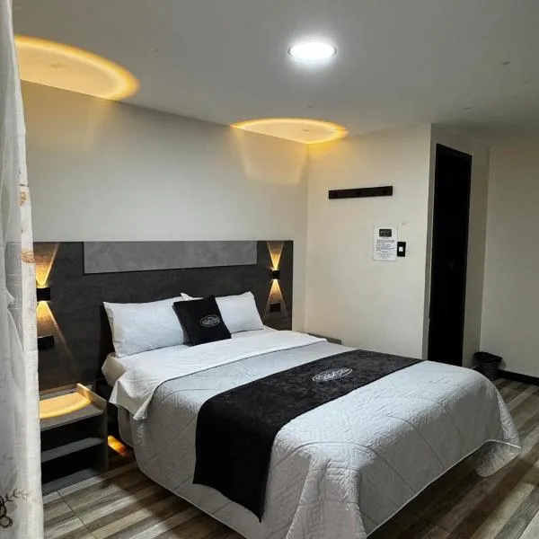 Hotel San Alejo，位于伊皮亚莱斯的酒店