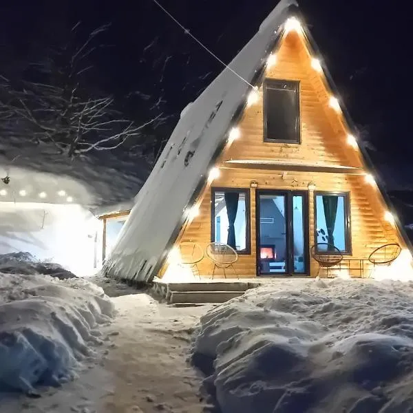Cabana A Morarului，位于Teiuş的酒店