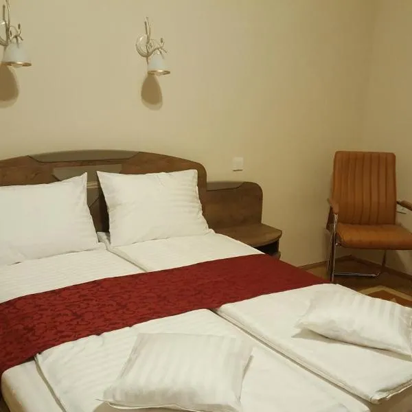Satu Mare Apartments，位于萨图马雷的酒店