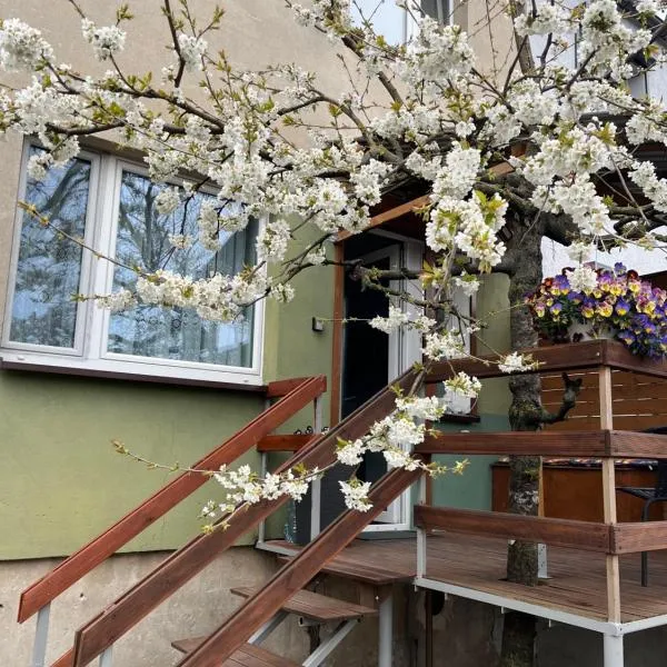 Studio pod Orzechem，位于兹邦申的酒店