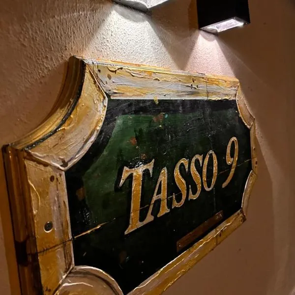 Tasso9，位于Boccheggiano的酒店