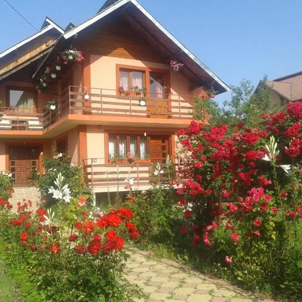 Nopti de Vara Transfăgărășan，位于Căpăţîneni-Pămînteni的酒店
