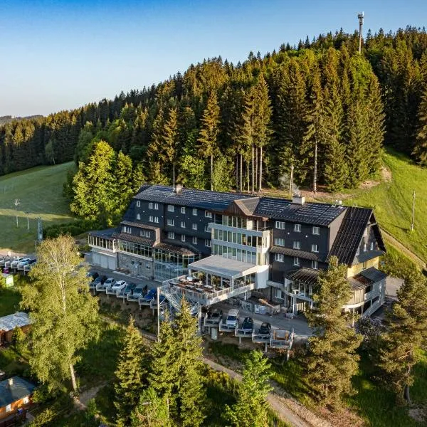 Spa hotel Lanterna，位于大卡尔洛维采的酒店