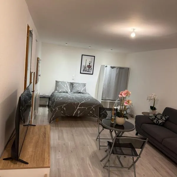 Studio, atypique，位于莎弗莱斯邦尼尔的酒店