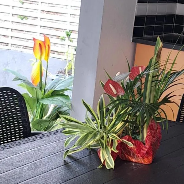 Résidence Fleur de Lys，位于珀蒂堡的酒店