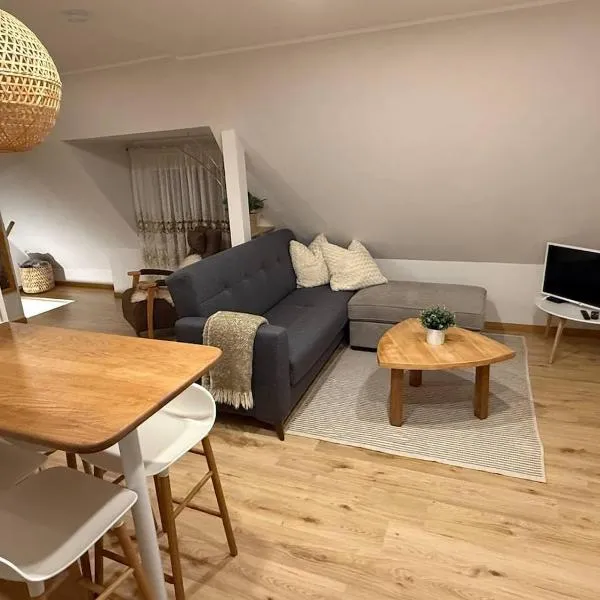 Cozy 1 Bedroom Apartment with Balcony & City Views，位于塔林的酒店