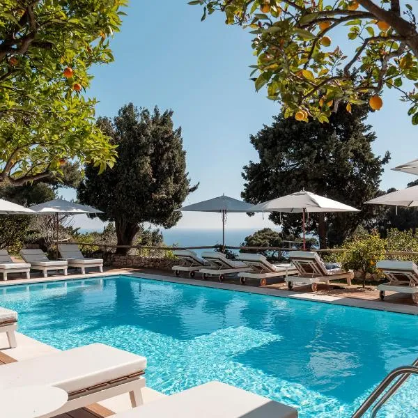 Hotel La Minerva，位于卡普里的酒店