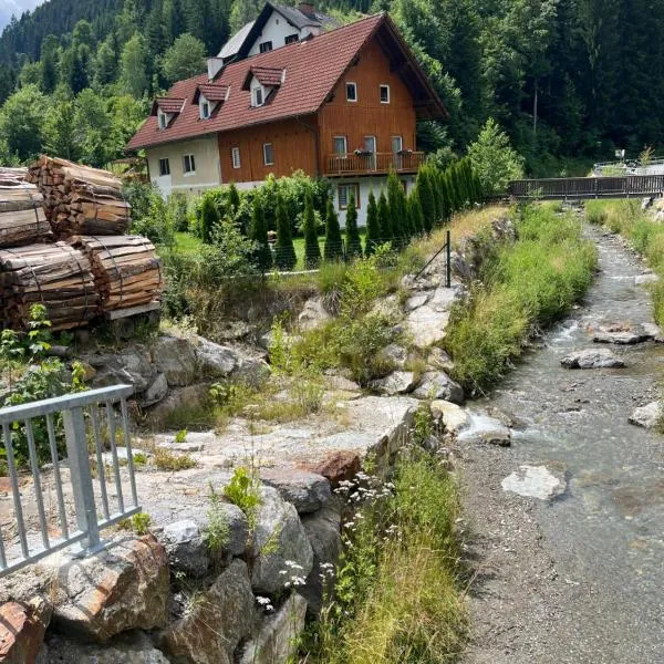 Haus Almblick，位于Gasen的酒店