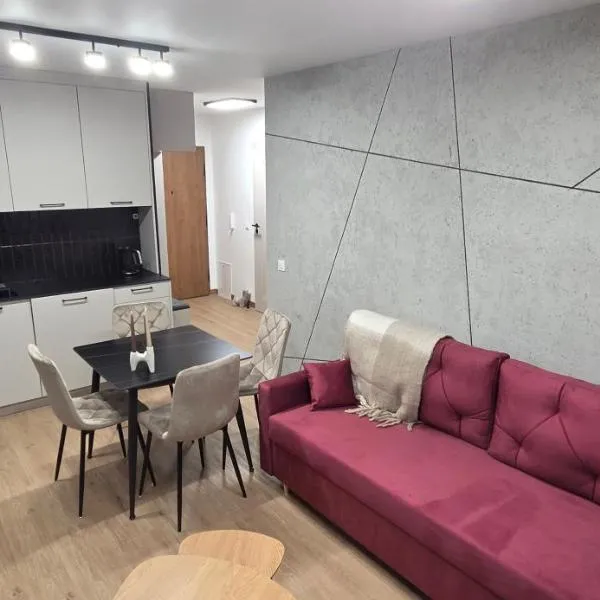 Roztocze Comfort Apartment,位于卢布林地区托马舒夫的酒店