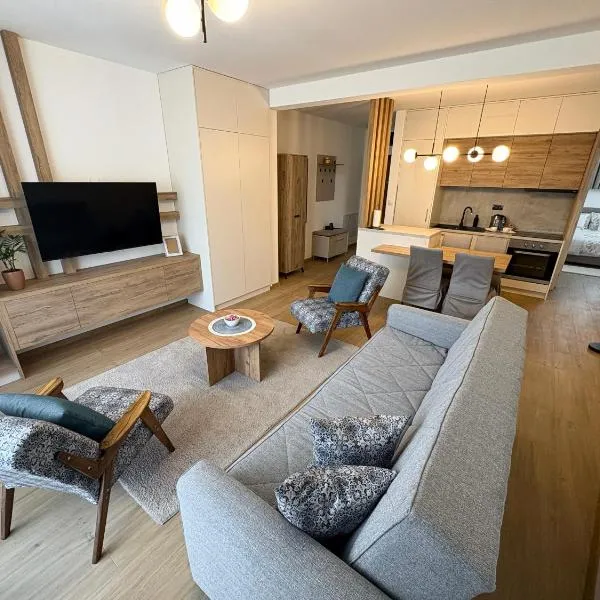 Apartman Jančić，位于洛兹尼察的酒店