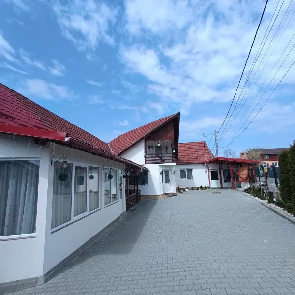 Casa Ioana Întorsura Buzăului，位于Brădet的酒店
