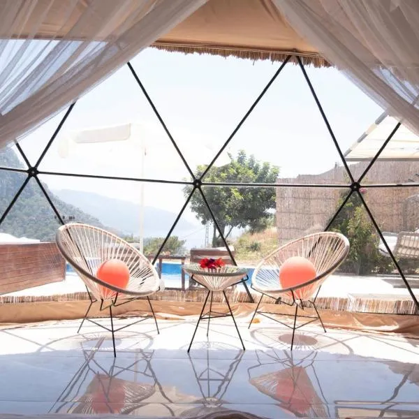Kabak Freedom Deluxe Hotel，位于法拉尔雅的酒店