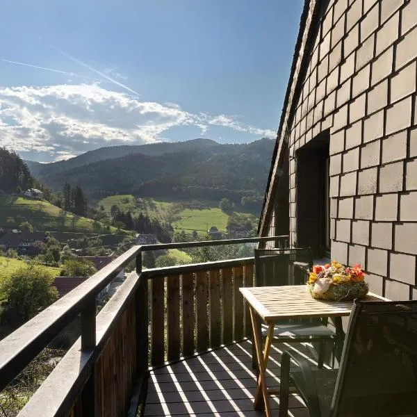 Ferienhaus Schwarzwaldleben，位于塞埃巴克的酒店