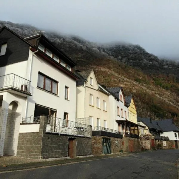 Haus Moselschleife，位于布雷姆的酒店