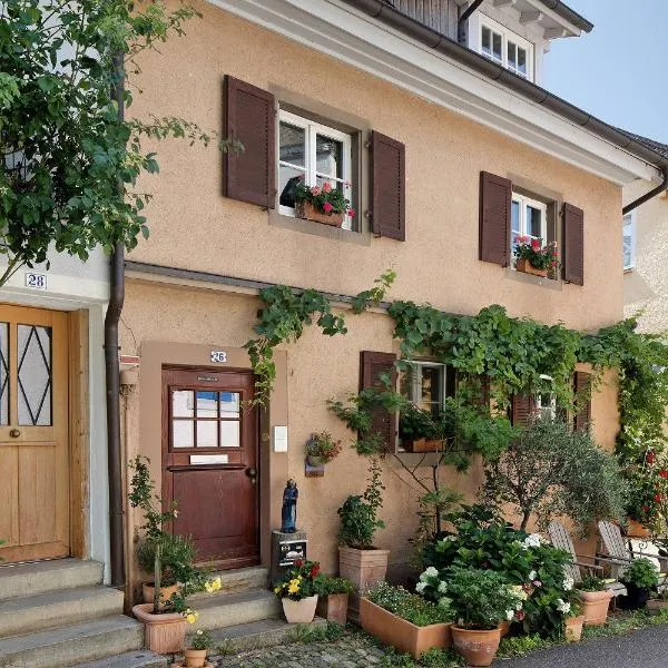Ferienwohnung Gill，位于施陶芬的酒店