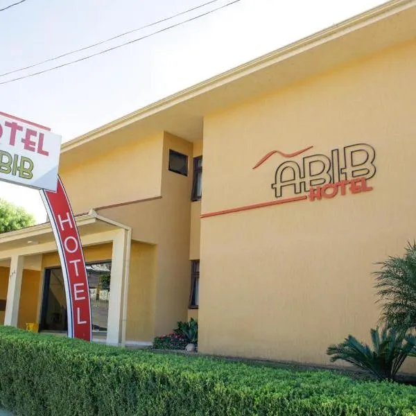 Hotel Abib，位于Rebouças的酒店