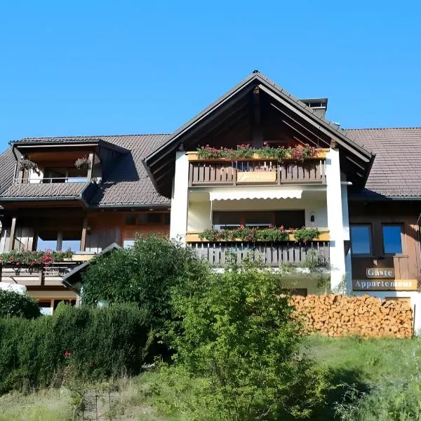 Appartment Bergblick，位于黑林山区贝尔瑙的酒店