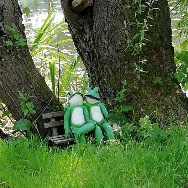 Am Froschteich，位于Dolgen的酒店