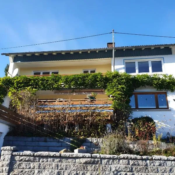 Ferienwohnung Härtel，位于施兰贝格的酒店