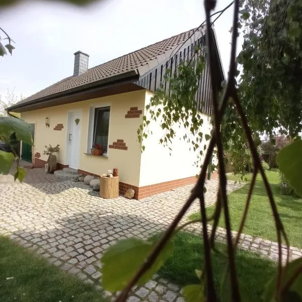 Ferienhaus Liwi，位于Liessow的酒店