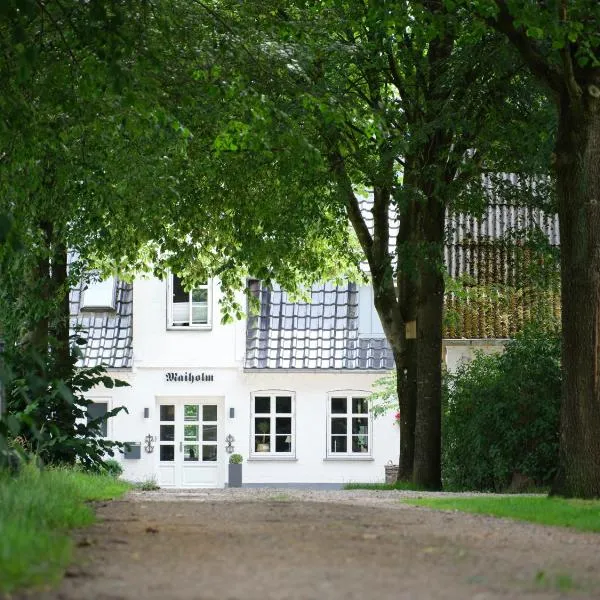 Hof Maiholm - Kälberstall，位于Medelby的酒店