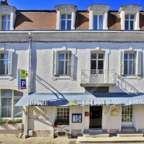 Logis Hôtel Le Lion d'Or，位于Saint-Martin-la-Rivière的酒店