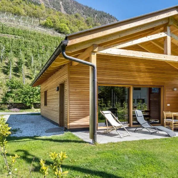 Pixnerhof Chalet Natyra，位于卡斯泰尔贝洛的酒店