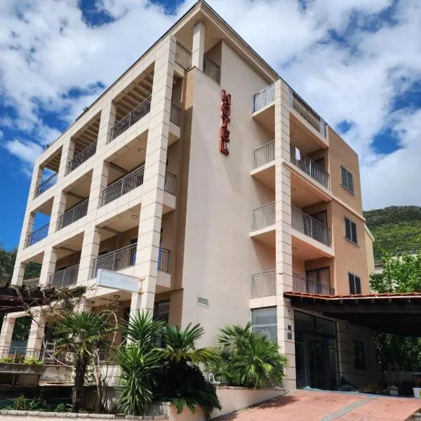 Hotel Petrovac,位于佩特罗瓦纳莫鲁的酒店