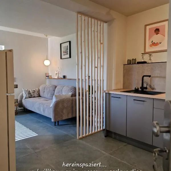 moselquartier terlinden- Apartment，位于Besch的酒店