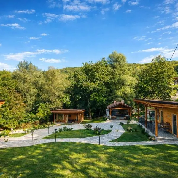 Mon Resort by Ana1St，位于Scărişoara的酒店