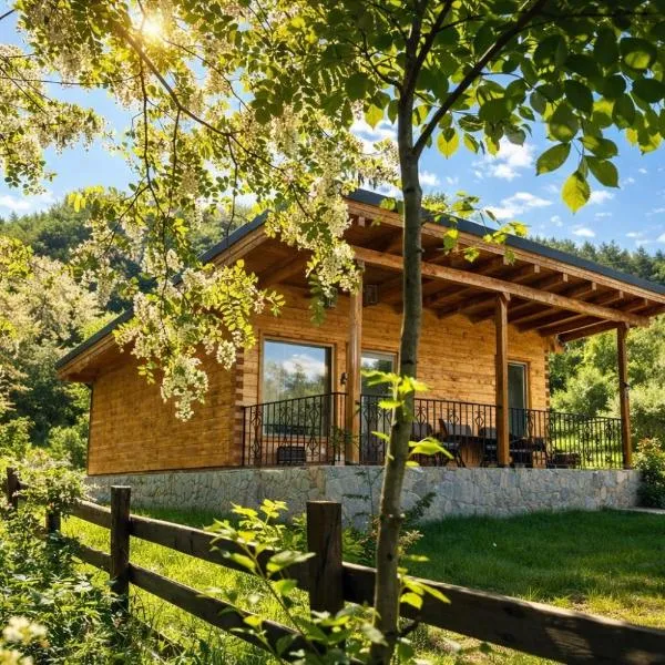 Mon Resort by Ana1St，位于Scărişoara的酒店