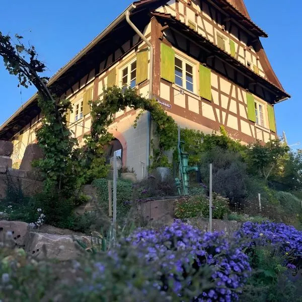 Fewos Weingut Pieper Basler，位于奥芬堡的酒店