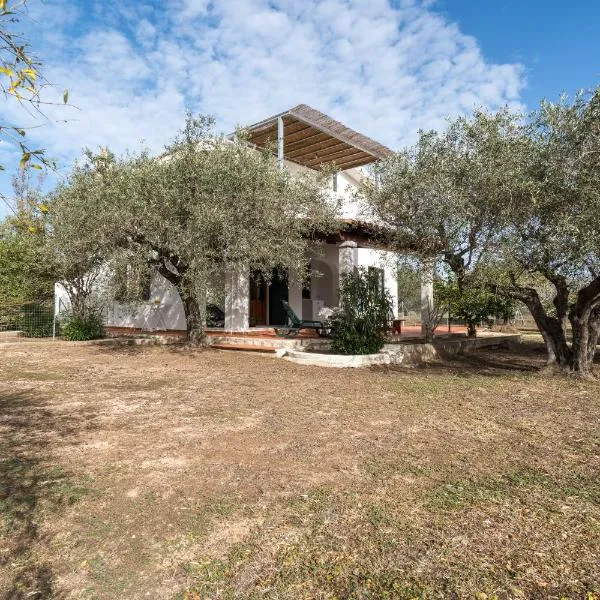 Villa Francesco P Terra，位于奥罗塞伊的酒店