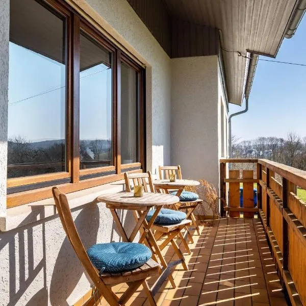 Pension am Hohberghof Dielheim，位于Dielheim的酒店