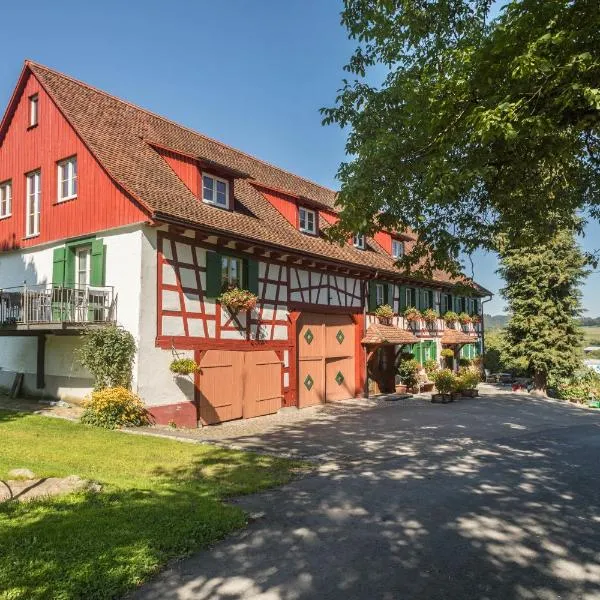 Ferienwohnung Risthof 1，位于Owingen的酒店