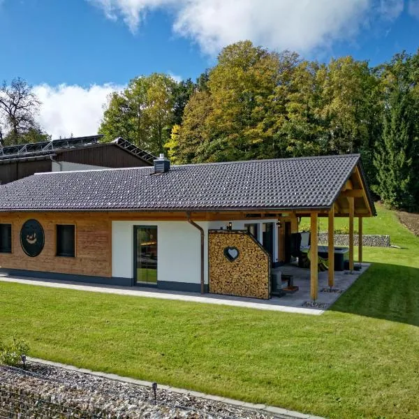 Luxus-Chalet Mühlberg，位于Eppenschlag的酒店