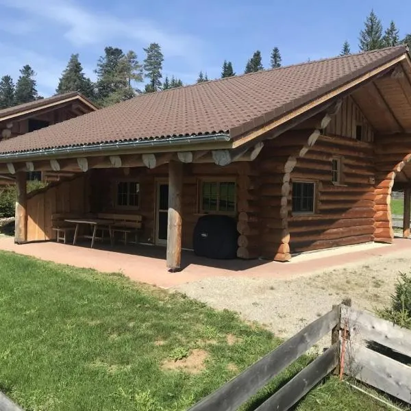 Blockhaus Almhütte Wiesenglück，位于Glatten的酒店