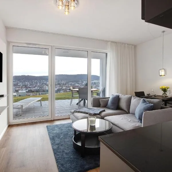 Ferienwohnung Panoramablick，位于罗拉赫的酒店