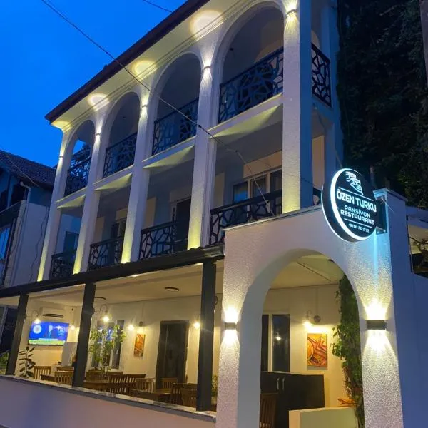 OzenTurku Hotel，位于帕莫卡莱的酒店