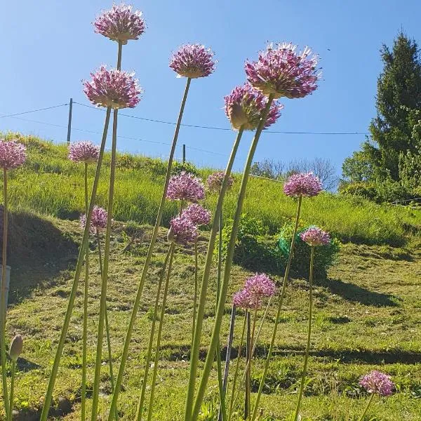 Ferienwohnung am Huthainberg，位于Börnichen的酒店