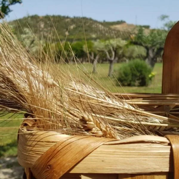 Agriturismo la Mandragola Relais，位于克罗托内的酒店