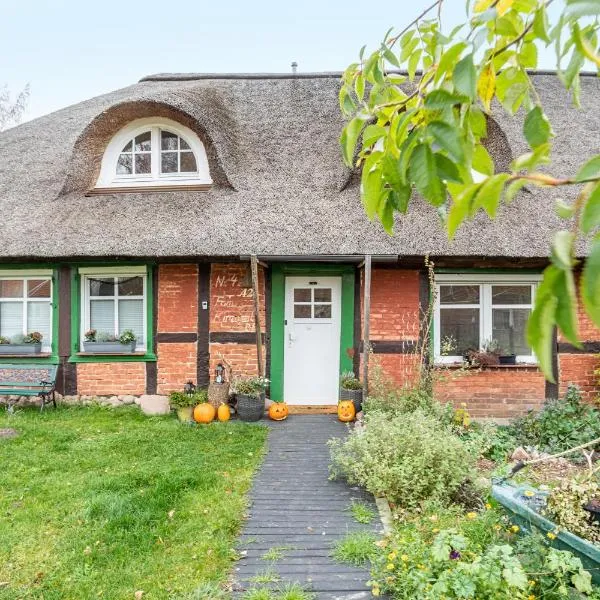 Ruhe und Natur in Seedorf，位于代明的酒店