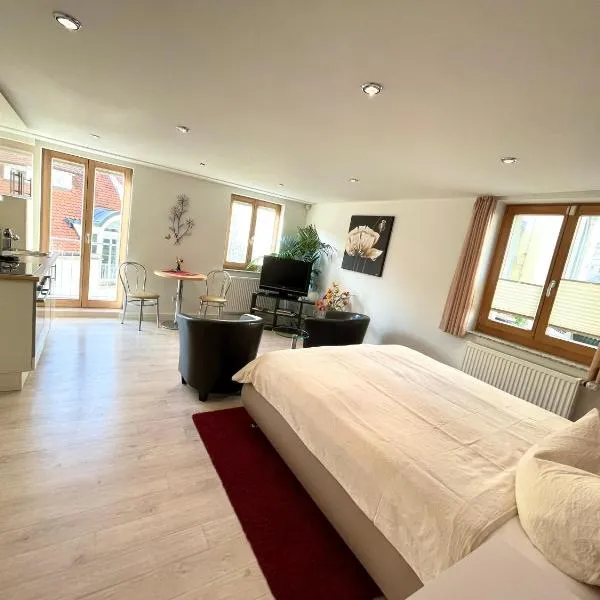 Apartment am Schloss，位于锡格马林根的酒店