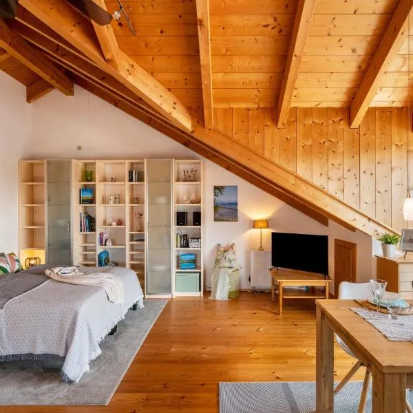 Ferienwohnung Breitenberger，位于海瑞星阿莫斯的酒店